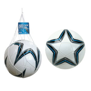 ykCEEʓrzTbJ[{[4 m {[ TbJ[ a20cm rcHƎ n