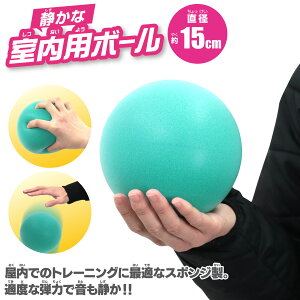 15cm p X|W{[m a15cm {[ Â 炩 |E^ C[Us IXX rcHƎ n