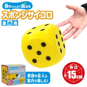 X|WTCR@pi15cm)m TCR Â 炩 |E^ C[Us IXX rcHƎ n