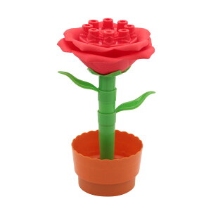 t[[You@ԁEEm V{ Mtg v[g 킢  rcHƎ n