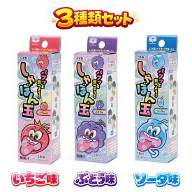 【セット】パクっと食べよう！しゃぼん玉3種セット［ メーカー直販 いちご ぶどう ソーダ セット しゃぼん 食べれる 2人 オススメ 池田工業社 ］