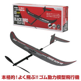 ゴム動力模型飛行機　ブラックバード［ゴム動力飛行機 工作キット 模型飛行機 自由研究 飛行機 ゴム動力模型 子ども 飛行機 おもちゃ 飛ぶおもちゃ 飛行機工作 室外遊び 池田工業社 ］