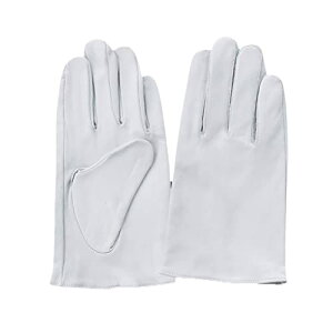 y 10o zxmO[u EX-200  ( L ) EXseries NXgXg[g VRv