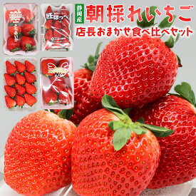 いちご福袋 店長おまかせ DX 4品種食べ比べセット（270g×4パック）紅ほっぺ きらび香 とちあいか スカイベリーから選べる イチゴ 苺 贈答用 産地直送 高級 静岡県 伊豆の国 フルーツ 果物 誕生日 贈り物 プレゼント 食べ物 ギフト 2025