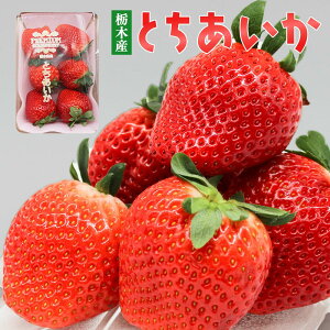 Ƃ DX 1.1kg (280g×4pbN)  C`S  o^C fbNX p Yn  É ɓ̍ t[c ʕ a 蕨 v[g Hו `R ȊO