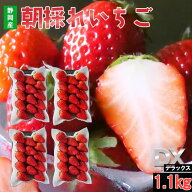 味！鮮度！で勝負！静岡県産　キラピカor紅ほっぺ 4PC入り1.1Kg以上　 いちご 紅ほっぺ きらぴ香 1.1kg …
