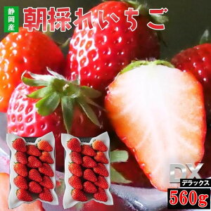  DX 560g (280g×2pbN) gق ҍ C`S  Ԃ p Hה Yn  É ɓ̍ t[c ʕ a 蕨 v[g Hו `R itigo  Mt