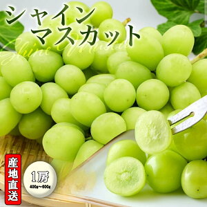 VC}XJbg  R  1[  eʑIׂ鎮 400g`600gO Ȃ 炲 Hׂ Â 嗱  Ԃǂ uhE  t[c Mtg p ƒp p NX