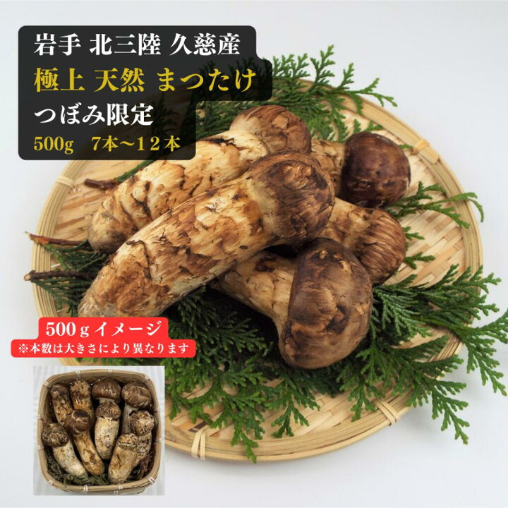 楽天市場】岩手 北三陸 久慈産 極上 松茸 500g つぼみ限定 9月20日頃  