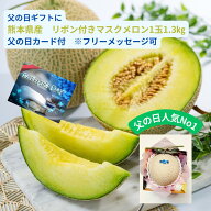 楽天スーパーセール中 全商品10％割引 父の日 ギフト ときいろ人気 NO.1 熊本県産 リボン付きマスクメロ…