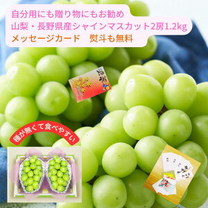 yVX[p[Z[ 10It XɊyV|Cg5{ VC}XJbg r[Ly[ I؂ȕւ Mtg ɂ RE쌧Y VC}XJbg 2[ 1.2kg E