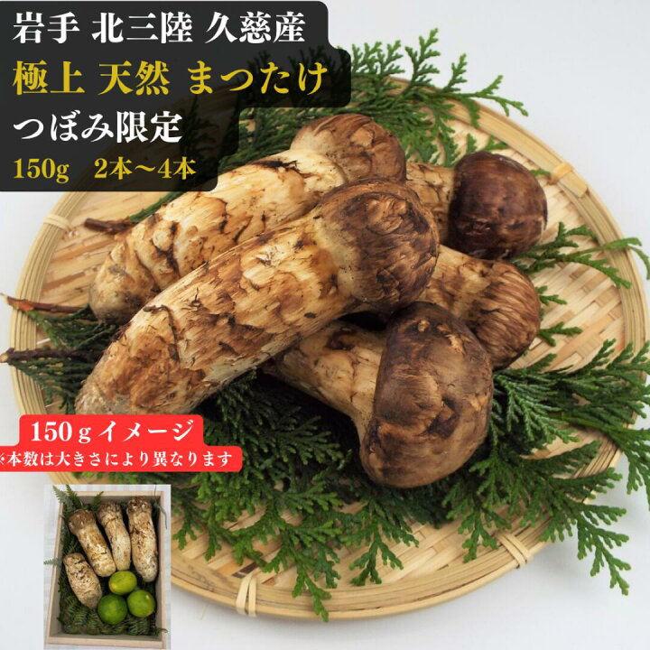 楽天市場】岩手 北三陸 久慈産 極上松茸 150g つぼみ限定 9月20日頃 