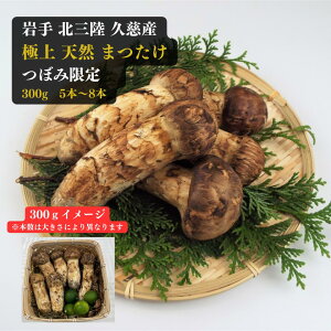  kO vY ɏ  300g ڂ݌ 9201010̊Ԃɂ͂\ ɂws i̕i ꌧ ̑ ͂s ԎwyTCYMȏłCz 