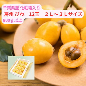 楽天マラソン中 全商品ポイント5倍 5月20日より入荷次第順次発送 千葉県産 房州 びわ 2L-3L 約800g以上（12玉）＜ 送料・消費税込＞ 手土産 贈り物 御 祝い 御 礼 御 出産 誕生日 返礼 旬 ビワ 千葉びわ 琵琶 冷蔵便にてお届け 沖縄及び離島はお届け不可