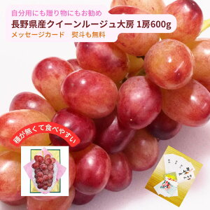 ؂ȕւ Mtgɂ 쌧YIWii NC[[W[ 600g 1[ Eō ̂ bZ[WJ[h  a j Ԃ v[g j ԂԂǂ 쌧Y 