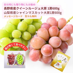 Ԃǂ2Zbg ؂ȕւ Mtgɂ 쌧YIWii NC[[W[ 1[ 600g RYVC}XJbg[ 1[ 600g Eō ̂ bZ[WJ[h  