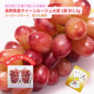 ؂ȕւ Mtgɂ 쌧YIWii NC[[W[ 2[ v1.2kg Eō ̂ bZ[WJ[h  a j Ԃ v[g j ԂԂǂ 쌧