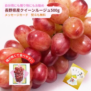 ؂ȕւ Mtgɂ 쌧YIWii NC[[W500g 1[ Eō ̂ bZ[WJ[h  a j Ԃ v[g j ԂԂǂ 쌧Y  