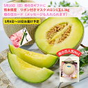 当店1番人気 5月10 日 母の日 ギフト 熊本県産 リボン付 マスクメロン 約1.3kg 1玉 ＜ 送料・消費税込 ※母の日限定カ…