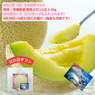 楽天スーパーセール中 全商品10％割引 父の日ギフト 熊本 茨城 アンデスメロン 1玉 1.1kg＜ 送料・ 消費…