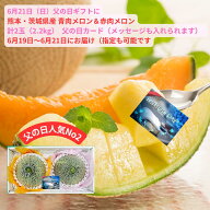 父の日 ギフト 熊本 茨城 赤肉メロン ＆ 青肉メロン 各1玉 ずつ 計2.2kg＜ 送料・ 消費税込＞ 父の日カー…