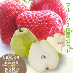 12 5珇o Ε Mtg  {   EtX ̃Zbg@Y ܂ ܂ Ȗ،Y ƂƂ  R`Y EtX Eō 蕨 j 