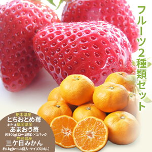 125菇o {䕂ƎÕ݂Zbg Y ܂ ܂ Ȗ،Y ƂƂ  ÉY O݂ Eō 蕨  j   Ε Ԃ 