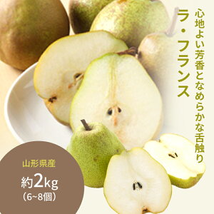 1120菇o Ε Mtg  R`Y  E tX 2kg Eō 蕨  j      oY a Cj ԗ Ԃ N Ry v[g  Ƃ