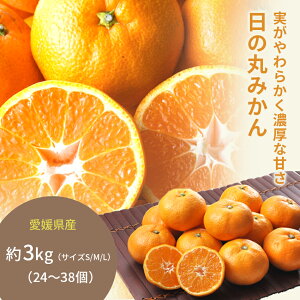 1120菇o QY ̊ ݂ 3kg@  ō tws yY Ry 蕨  j     oY a ԗ Ԃ N fruits   