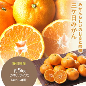 ÉY O ݂ 5kg Eō yY OP 3 蕨  j      oY a Cj ԗ Ԃ N Ε Ε    䋟 