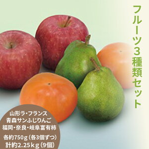 X[p[Z[10 ɊyV|Cg5{  Ε Mtg  { `ƃEtX   3Zbg 򕌁EޗǁEY@xL`  R`Y EtX  XY 