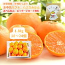 お届けは 6月20日から お中元 にお勧め 佐賀県産 ハウスみかん1.8kg (18～24個) ＜ 送料・消費税込 選べる熨斗 メッセージカード無料 フリーメッセージも承ります＞お中元 御中元 中元 お祝い ギフト プレゼント 内祝 みかん 暑中見舞い 残暑見舞い