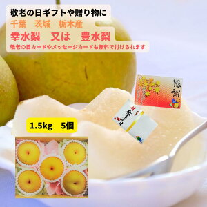 yVX[p[Z[ 10It XɊyV|Cg5{ hV̓ Mtg  t Ȗ 錧Y K  LiYnAi͎ɂĕς܂j 5 1.5kg Eō M