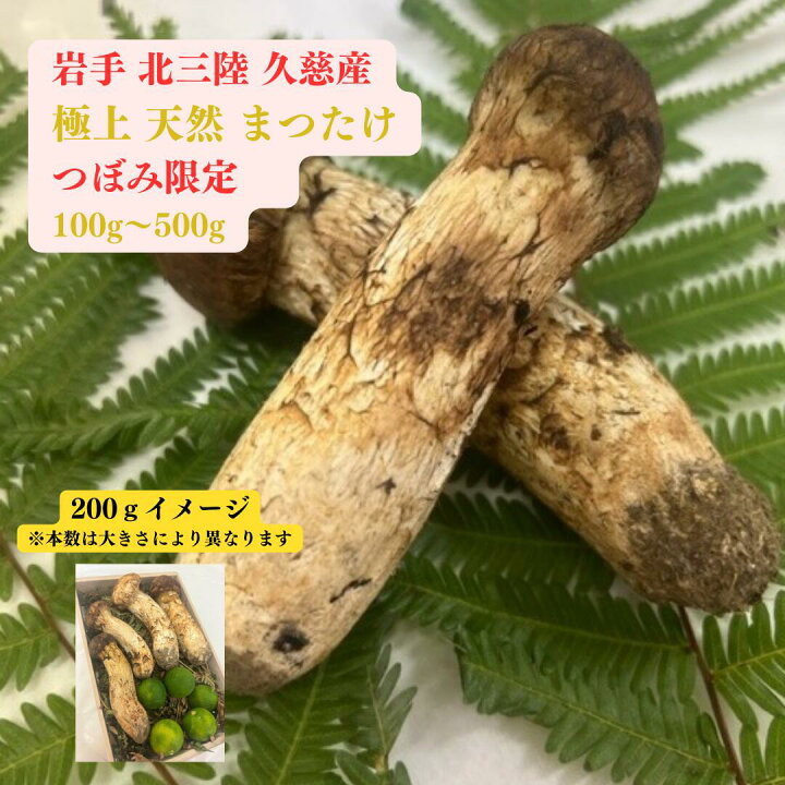 楽天市場】岩手 北三陸 久慈産 極上松茸 100g~500g つぼみ限定 お届け  