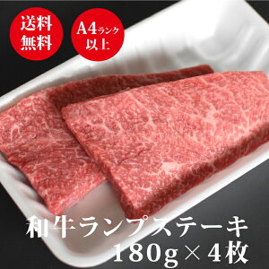 Mtg Xe[L Ԑg y јa A4 A5 zvXe[L180g@2/3/4   Mtg 񂹃O    Ε j 蕨 v[g j a ̓ ̓ h