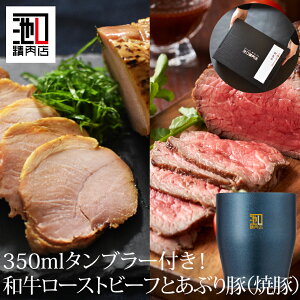 [Xgr[t Mtg auIWi^u[t Iјa Ԑg炩aԐg[Xgr[tƋ{uh|[Ngp Ԃ؁iĂ؁jv Mtg 񂹃O  