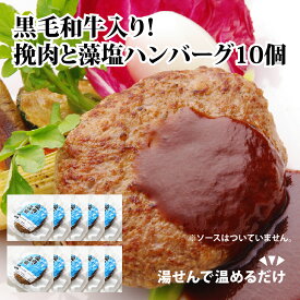 ハンバーグ 湯煎 で楽ちん “挽肉と藻塩 ハンバーグ （焼プレーン）合計10袋” 和牛入り 冷凍 食品 惣菜 おかず 送料無料 お取り寄せグルメ ハンバーグ 食べ物