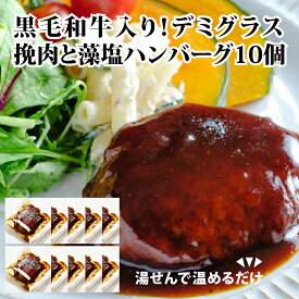 ハンバーグ デミグラス 湯せん “挽肉と藻塩 ハンバーグ （デミグラス）合計10個” 冷凍 食品 惣菜 おかず 送料無料 お取り寄せグルメ ハンバーグ 食べ物