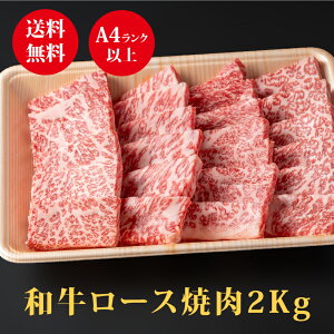Mtg A4 A5 g a[Xēp h@400g/800g/1.2kg/1.6kg/2.0kg ґ   Mtg    Ε j 蕨 v[g j a ̓ ̓
