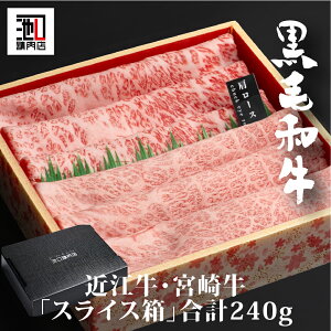  Mtg Ε ߍ]E{苍Hה׌v240gl  uaXCXv ₫ Ԃ  䒆 j j ̓   hV̓