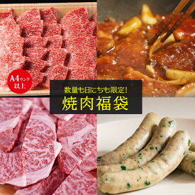 焼肉 福袋 “ 和牛とソーセージ合計4種セット ” 焼肉 ソーセージ カルビ 送料無料 数量限定