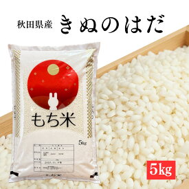 【餅つき用】秋田県産 もち米 きぬのはだ 5kg