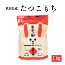 秋田県産 たつこもち 1kg