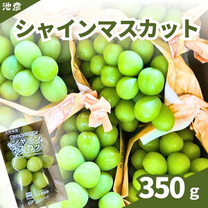 VC}XJbg/Mtg/t[c/쌧Y/ȂԂǂ/Ε/t[c