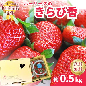 yÉY ҍzΕɂœK ÂP Hp0.5L//Mtg/Ε/Y@_Ƃ̉ʎ