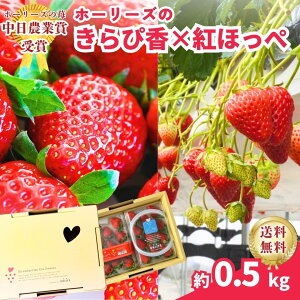 yÉY gق؂ƂҍHהׁzΕɂœK ق؂邢ƋP΂ҍ Hp0.5L//Mtg/Ε/Y@_Ƃ̉ʎ