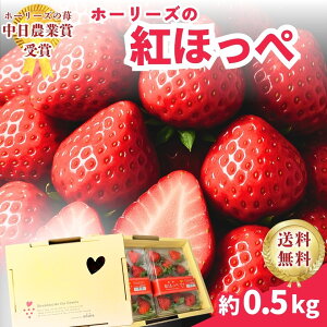 yÉY gق؁zΕɂœK ق؂邢 Hp0.5L//Mtg/Ε/Y@_Ƃ̉ʎ