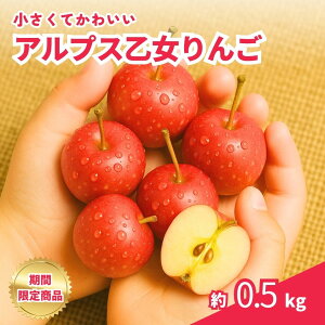 yǂƈꏏɊۂzAvX񂲁@500g`kg@񂲁@~j񂲁@p񂲁@ۂ@쌧Y@HׂTCY񂲁@Mtg