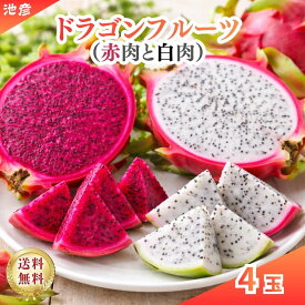 ドラゴンフルーツ　赤皮赤肉と白肉　各2玉ずつ計4玉入り