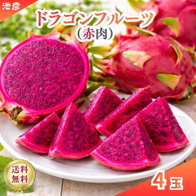 ドラゴンフルーツ　赤皮赤肉　4玉